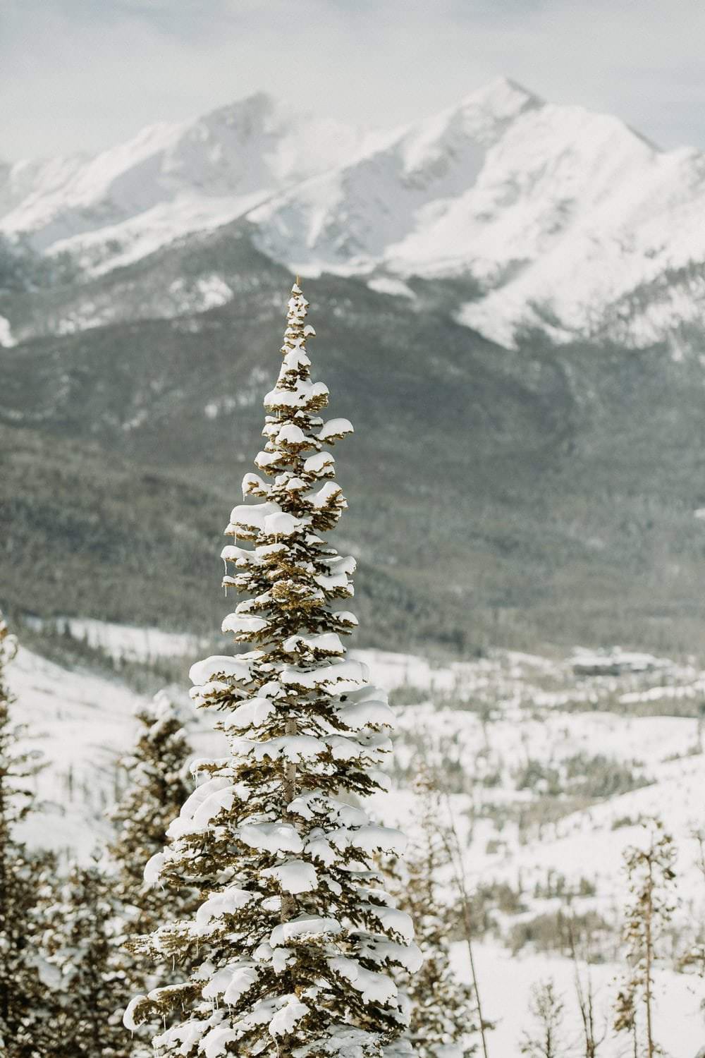 LOVELAND PASS ELOPEMENT | CONTINENTAL DIVIDE ELOPEMENT|COLORADO MOUNTAIN ELOPEMENT PHOTOGRAPHY | ROCKY MOUNTAIN ELOPEMENT |BRECKENRIDGE COLORADO ELOPEMENT|SAPPHIRE POINT OUTLOOK ELOPEMENT | SELF-SOLEMNIZING ELOPEMENT |ASHLEY + COLTON