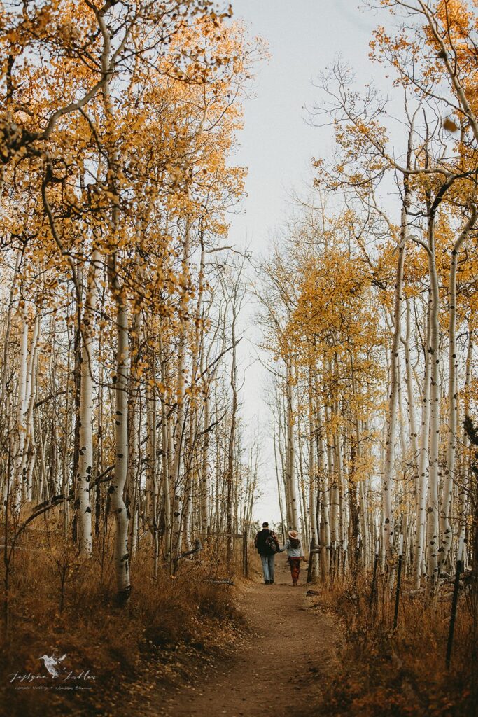 Romantic fall engagement portraits in the Colorado mountains at Kenosha Pass