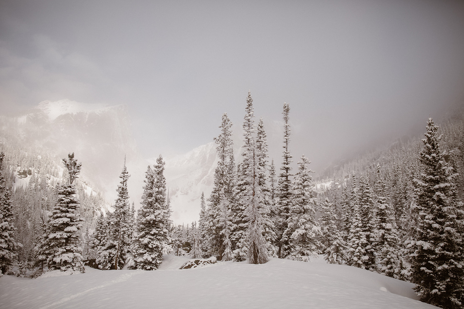 “Adventurous winter Colorado elopement with bride and groom snowshoeing through a snowy mountain forest, captured by elopement photographer.”