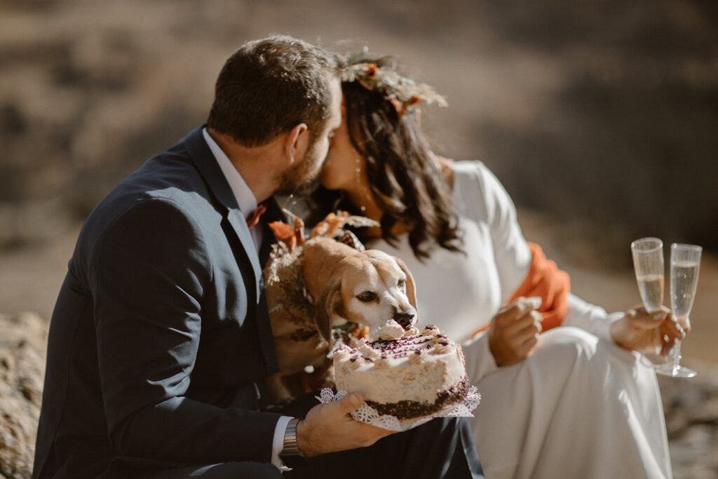 Adventurous Breckenridge elopement ending with a bite of wedding cake for a puppy, the only witness to their adventure wedding day in Colorado at Loveland Pass.