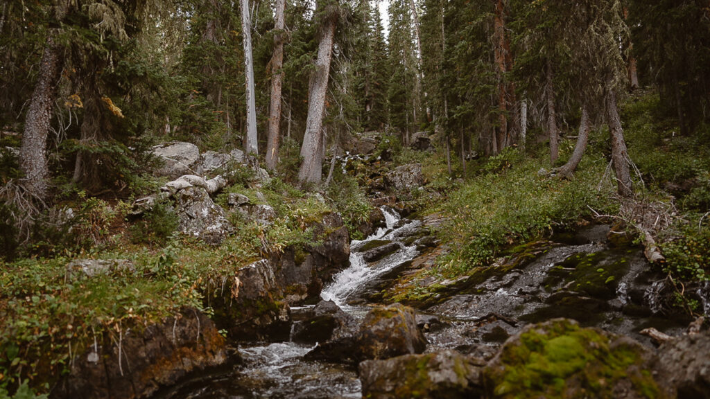 Moss-covered waterfall tucked away in the mountains near Crested Butte.